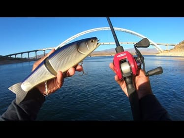 99% Of Fishermen Are NOT Man Enough To Throw This Giant Lure!
