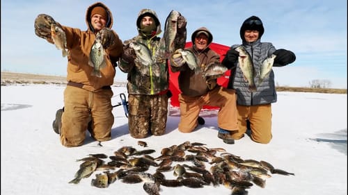 Catching HUNDREDS of Fish Ice Fishing! Fantastic Day!