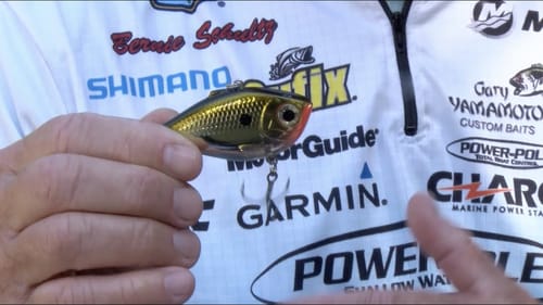 Bernie Schultz and the different sounds of lipless crankbaits