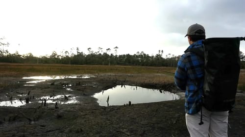 Fishing Tiny Mud Holes
