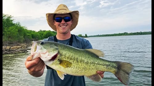 Searching For POST SPAWN Bass! Fishing Points!