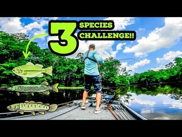 3 SPECIES Challenge During MASSIVE HEAT WAVE!! || Summer River Fishing