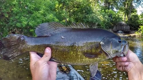 Whopper Ploppin' Drain Pipe Smallies