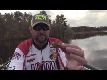 1-Minute Angler: Shallow Crankbait