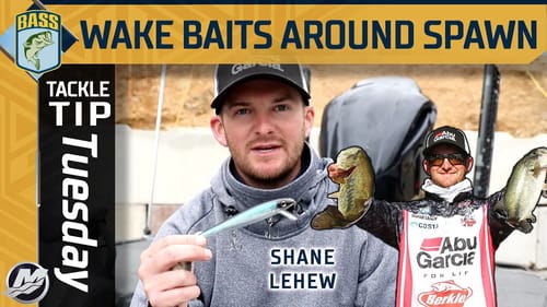 Using a Wake Bait around the spawn with Shane LeHew