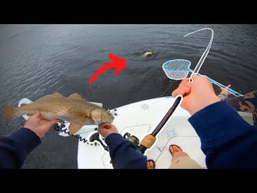 Fishing the blackwaters of Washington NC (Blackwater SLAM + 4 PB's)
