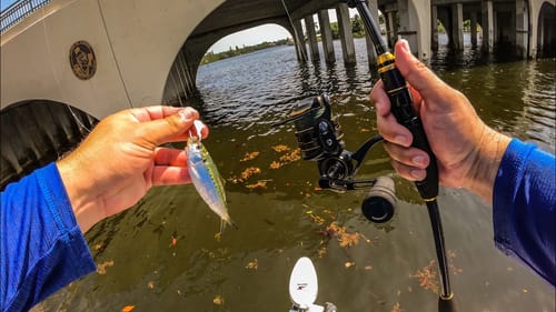 What Do You Throw When Fishing Is Insanely Tough?
