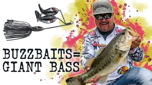 Secret FALL Fishing TIPS : How to Fish Topwater