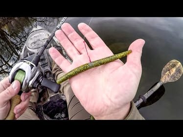 This Rig ALWAYS Catches Fish!