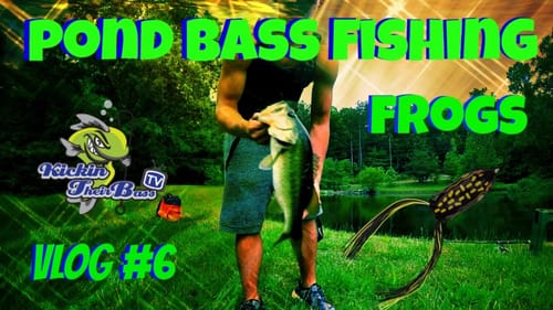 Pond Bass Fishing ~ Topwater Frogs and Jigs Vlog #6