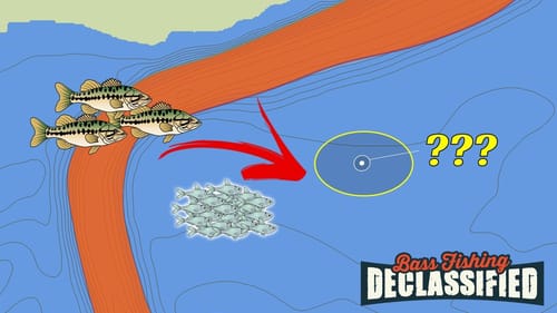 Bass Are Moving HERE On Your Lake – Don’t Get Left Behind!