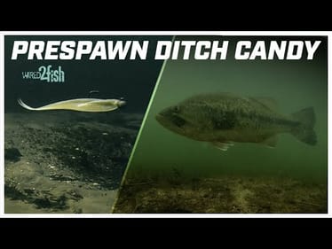 Prespawn Bass Fishing | Jig & Minnow in Drains