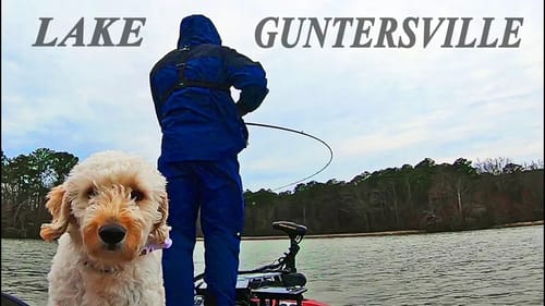 Bass Fishing LAKE GUNTERSVILLE - Prespawn Conditions!