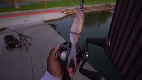 Fishing Small Urban Ponds With Big Swimbaits! Tips and Tricks!