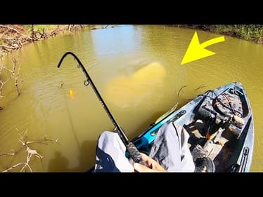 TINY CREEKS have the BIGGEST FISH!!!