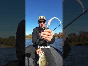 Dirty Jigs buzzbait with a 7in Basstrix DuraTrix Minnow—big profile that catches giants.