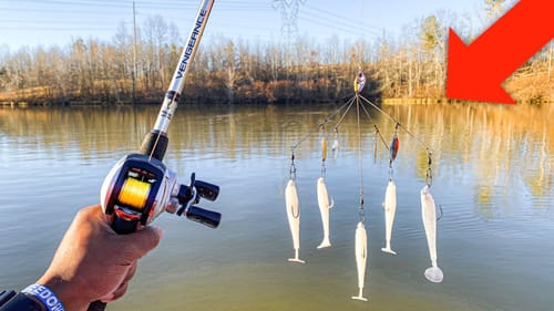 WINTER Fishing An A-RIG For BIG BASS (FISH RESCUE)
