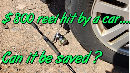 $800 reel got smashed by a car.....Can it be saved?  Full teardown