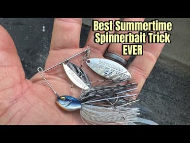 Average 30 Bass A Day Using THIS Advanced Summertime Spinnerbait Trick…