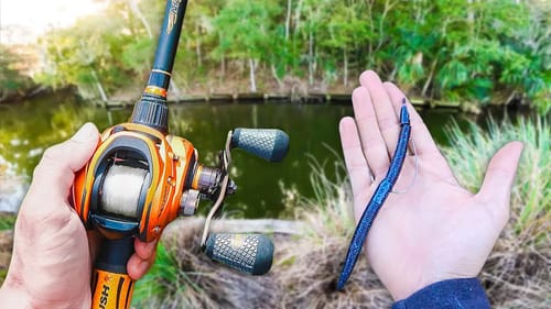 We Found The BIG BASS! (Bank Fishing)