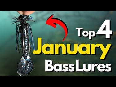 Top 4 January Bass Lures and WHY (Underwater Footage)