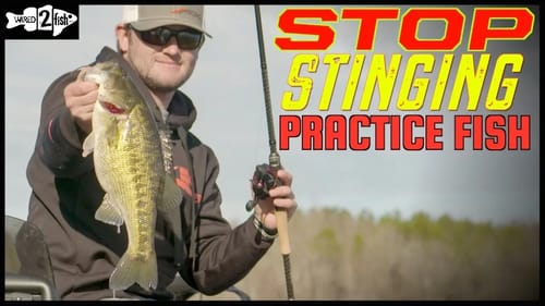 Stop Hooking Bass in Practice with This Trick