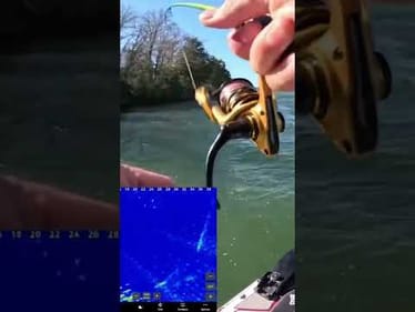 Ever see 10,000-20,000 Crappie?! #crappiefishing #livescope #sonar