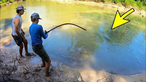 We THOUGHT IT WAS A TURTLE!! (150 LBS)