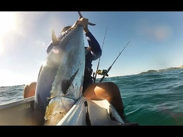 A nice Longtail / Northen Bluefin tuna - Kayak Fishing Palm Beach Australia