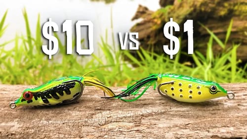 CHEAP vs EXPENSIVE Frog Fishing CHALLENGE!!! (HUGE BASS)