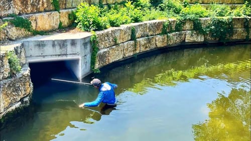 INNER CITY CREEK FISHING with INSANE RESULTS!! (Fish EVERYWHERE)