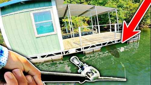 I was NOT Prepared for these Giant Dock Fish!! (Line SNAPPED!)