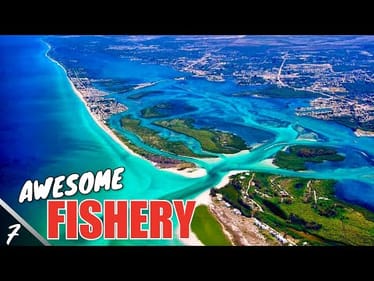 Fishing the AMAZING West Coast of Florida - SMC TV 20-7