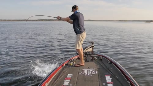 HUGE Hybrid Bass Blowing Up on Topwater