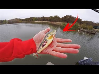 Crazy ZOMBIE Lure Catches RARE Tagged Bass!