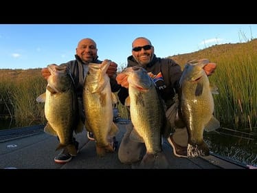 Monster Bass BEATDOWN In Full Swing!