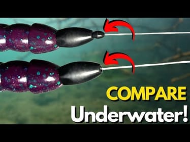 Pegged vs Unpegged Worm Weights (Side-by-Side Look Underwater)