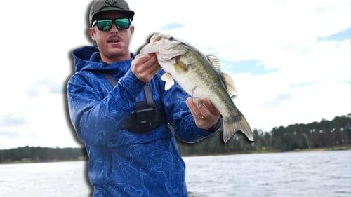 Catching 5lb Bass on Livescope - Crappie Fishing Surprise!