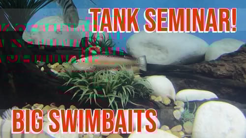 Big Bass Dreams Europe Pescare Show Vicenza, Italy 2019 Tank Seminar