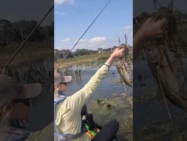 FLORIDA! Most exciting way to fish!!