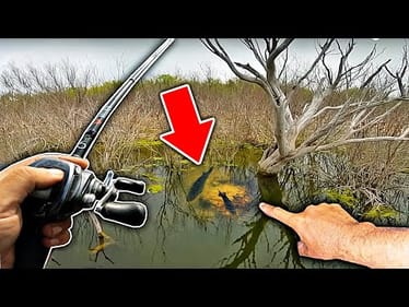In 30+ Years of Fishing I've NEVER seen this...