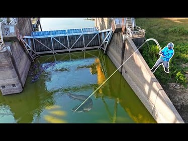 The HUNT for a 100LB CATFISH!!! (Biggest in YEARS!)