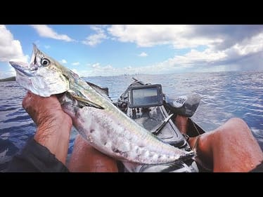 Fishing For Food With Lockdown Looming - Living From The Ocean