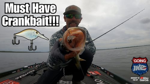 MUST Have Crankbait! (SNEAKY GOOD!)