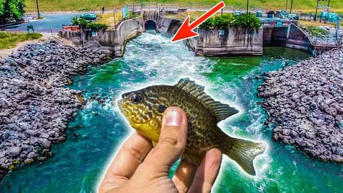 I Hooked My BIGGEST Spillway Monster Of 2022! Fishing a HUGE Spillway Runoff Using Bluegill & Bread