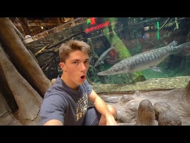 This Store Is INSANE!!