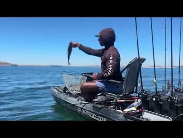 DOG DAYS OF FOLSOM LAKE SUMMER BASS FISHING #Fishing #summer #bassfishing