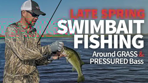 SWIMBAIT Fishing around GRASS and PRESSURED Bass (Power Finesse Technique)