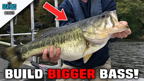 Fisheries Biologist on What F1 Largemouth Bass Are & Why They’re So Much BIGGER!