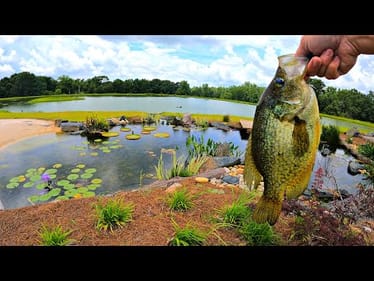 Adding Crappie to the 5 Acre Pond!
